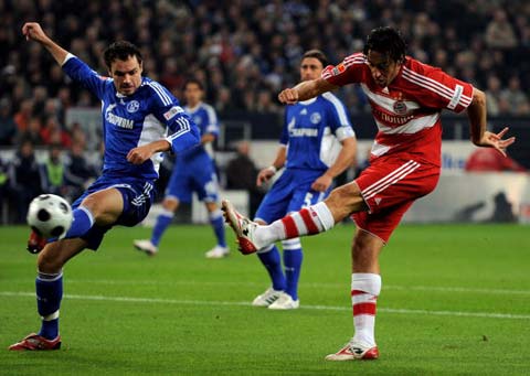 依靠坚韧的 依靠坚韧的