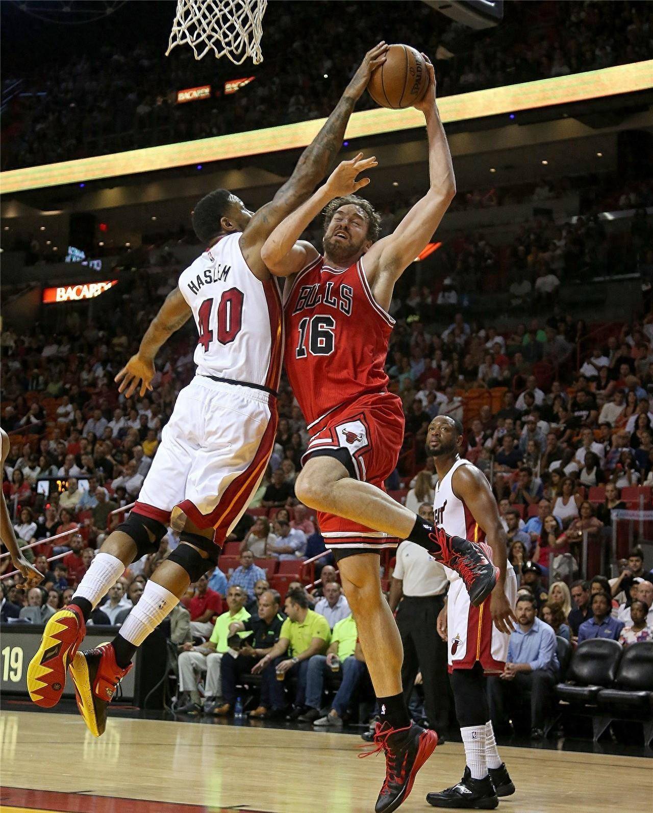 执教动向 执教动向